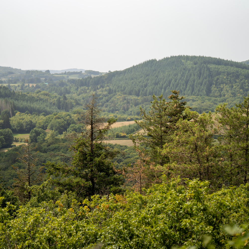 Citroën 2CV Gift Box • Free getaway for two • 1 Day