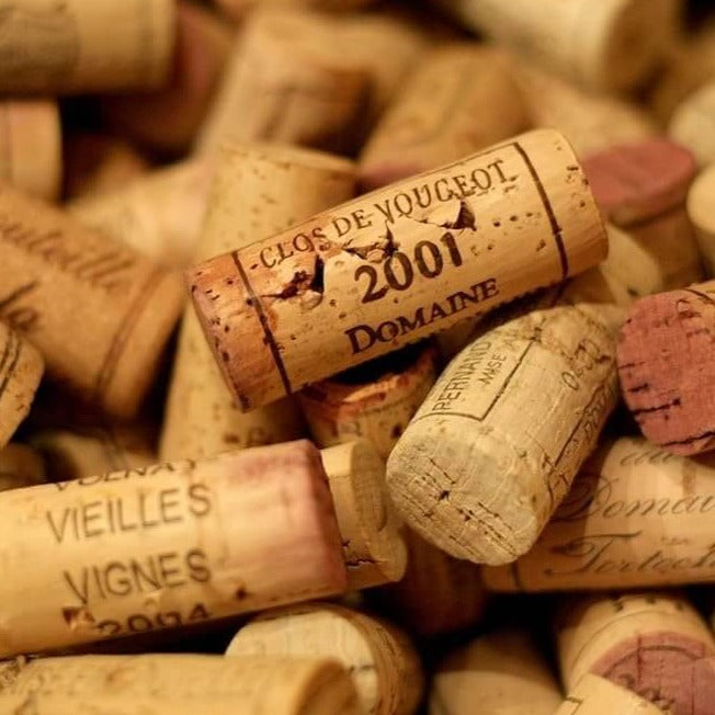 Cadeau week-end œnologie en Bourgogne – immersion complète dans les vignobles et les vins de la région