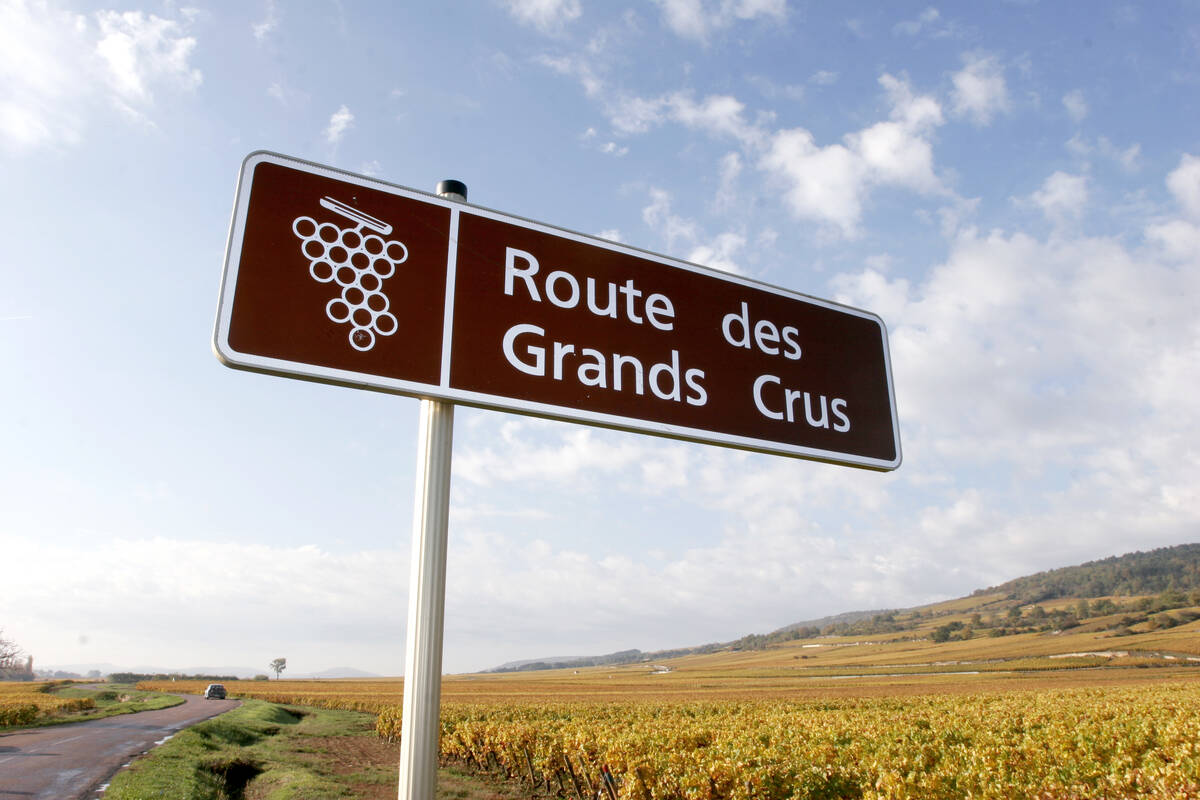 itinéraire route des grands crus