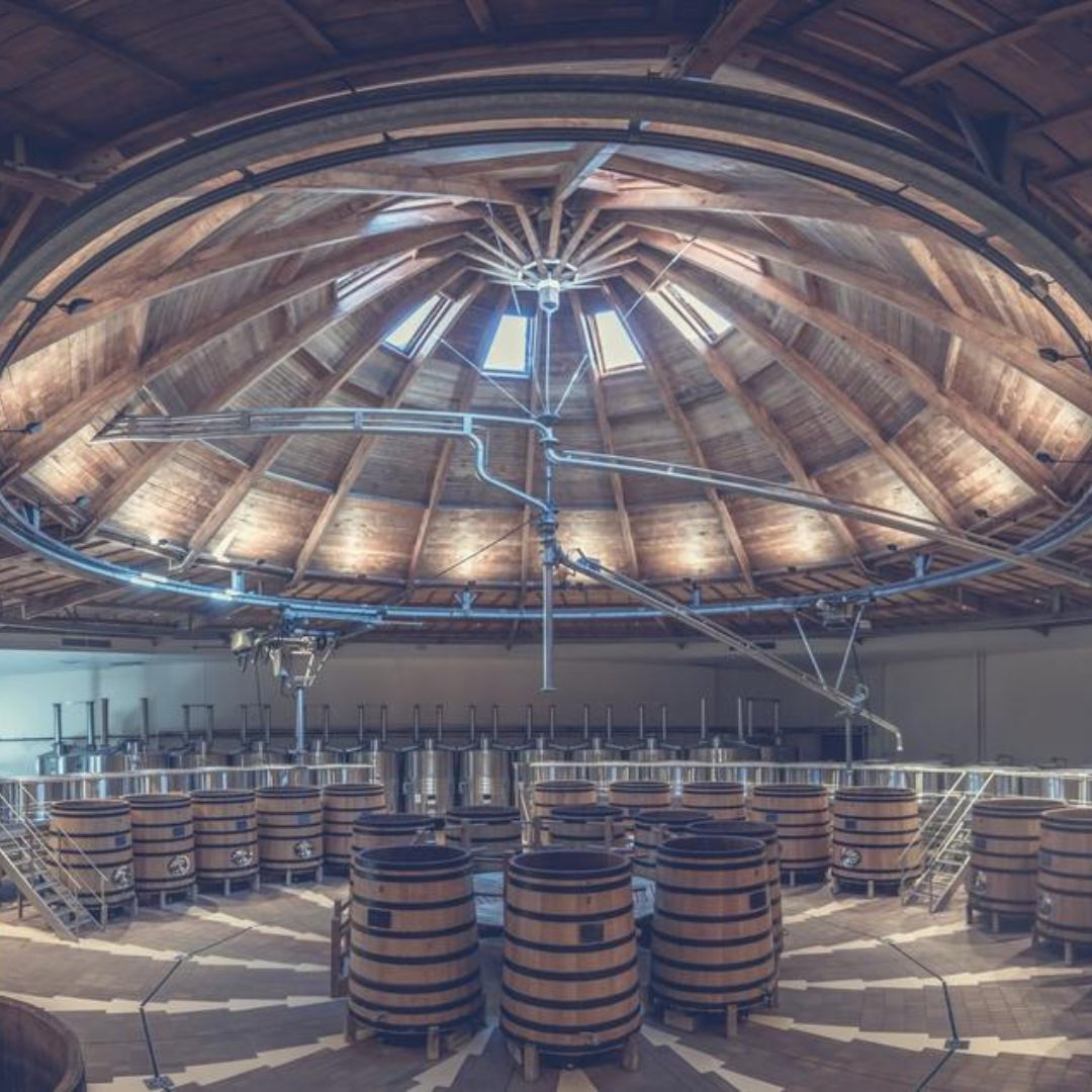 Besuch und Verkostung der Domaine Louis Jadot • 2 Personen