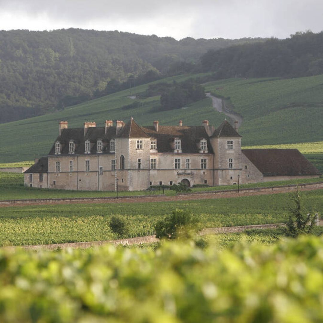 Besuch des Château du Clos Vougeot • 2 Personen